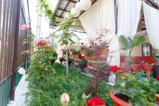 Camere de inchiriat Sandra - 4