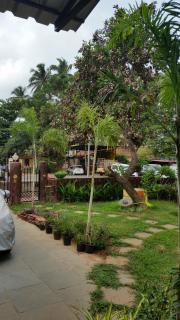 Casa de Fernandes - Nerul - 9