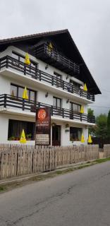 Pensiunea Casa Beatrice Bran - Bran - 7