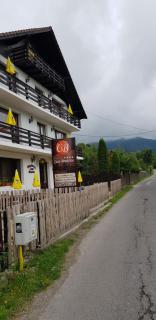 Pensiunea Casa Beatrice Bran - Bran - 9
