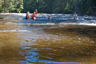 Tyenna River Cottages - 2