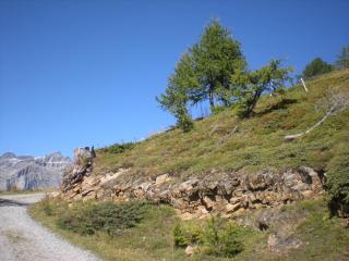 Haus Marmotta - Leukerbad - 3