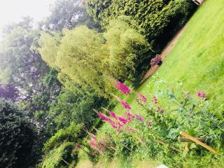 Le Plein Air - 4