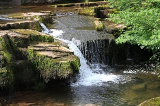 Riverside Apartment - 5