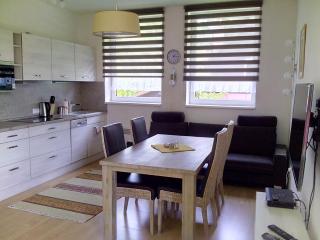 Apartman U sjezdovky - Velké Karlovice - 7