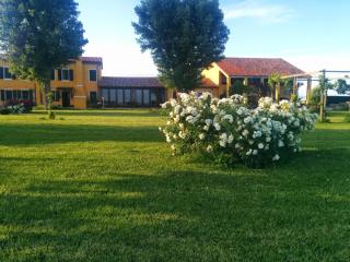 Antica Vigna - Chioggia - 1