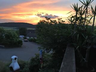 Holiday flat with terrace in the Westerwald - Ellar - 1