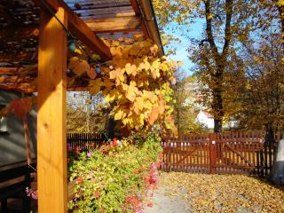 Pension Unstrutpromenade - Freyburg - 5