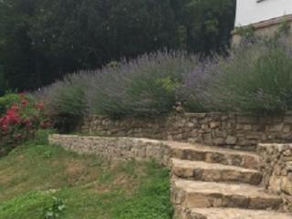 Traumparadies - Bad Sulza - 6