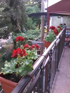 Apartments Olga - Virpazar - 8