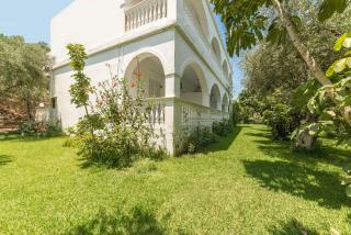 Ruassi Studios - Amoudi - 2