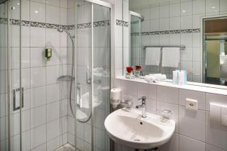 Beinwil Swiss Quality Seehotel - Beinwil - 4