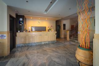 Dimitris Paritsa Hotel - 6