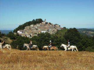 Luciano e Norma House Il Rustico - 1