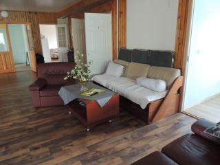 Mosina Vesiveski - Vissi - 2
