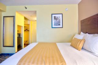 The Barrymore Hotel Tampa Riverwalk - Tampa - 7