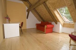 Pension U Starýho Dubu - Jindřichŭv Hradec - 7