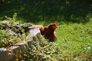 Pension Waldklause, Doppelzimmer mit Balkon, Dusche, WC - Königssee - 3