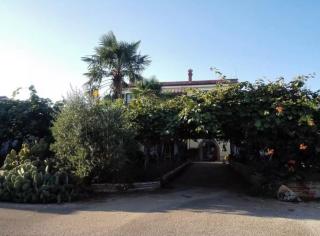 APP Carla - Novigrad Istria - 0