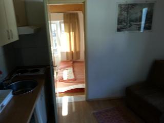 Vila Stojkovic Zlatibor - Zlatibor - 9