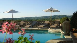 Hostellerie Le Beffroi - Vaison-la-Romaine - 3