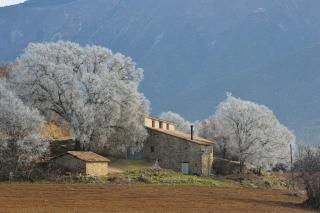 Mas de Bruquet - Llimiana - 6