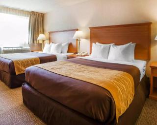 Quality Inn Kirkland - Kirkland - 7