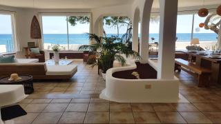 Loro Verde - Playa Honda - 7