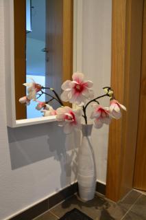 Appartement Wieshof - Neukirchen am Großvenediger - 2