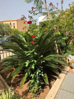 casa Francy - San Vito lo Capo - 6