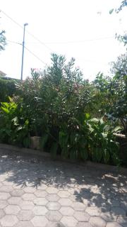 Apartmani Božić-Omišalj - Omišalj - 4