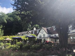 Royal Lodge - Symonds Yat - 6