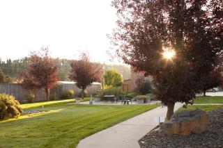 Black Hills Luxury Suites - Hill City - 8