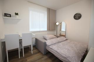 Elegant central Apt Maribor w/Parking - Maribor - 5