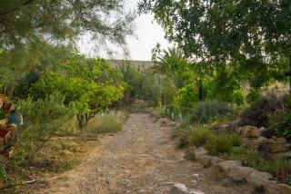 Carmey Avdat Farm - 6