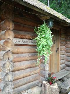 Ala Juusa Holiday Home - Ihamaru - 0