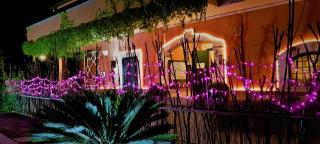 Casale Terra Sole B&B - Terlizzi - 6