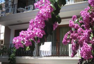 Kumsal Butik Otel - Istanbul - 2