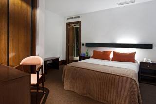Hotel Domus Plaza Zocodover - 9