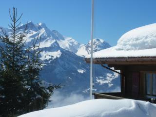 Chalet Blatti - Hasliberg Wasserwendi - 5