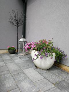 Zsinkó Villa - 3