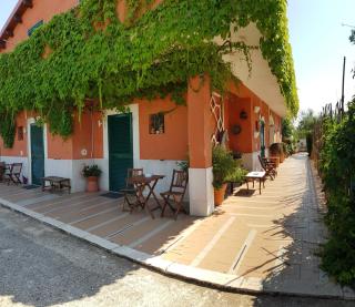 Casale Terra Sole B&B - Terlizzi - 8