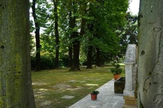 Villa Paola - Sabbioncello - 6