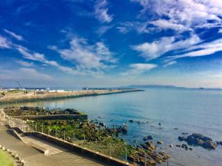 Royal Marine Hotel - Dun Laoghaire - 4