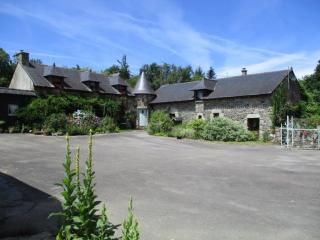 Le Petit Chateau, Matisse - Noyal-Pontivy - 0