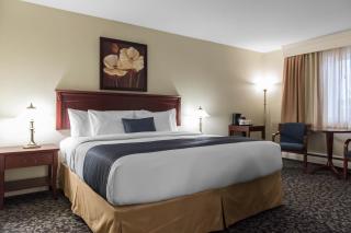Quality Inn Mont-Laurier - 1