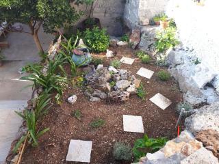 Apartmani Ada 2 - 6