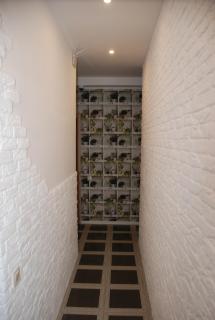 Green Apple Hostel - Kiev - 5