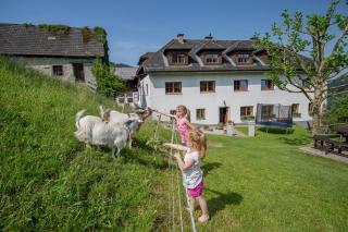 Kräuterhof Miesrigl - Losenstein - 1