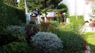 Apartmani Agard - Brodarica - 3